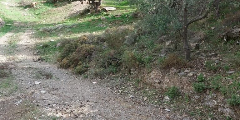 20171118_111959 (Custom)