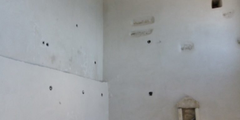 20180427_101944 (Custom)