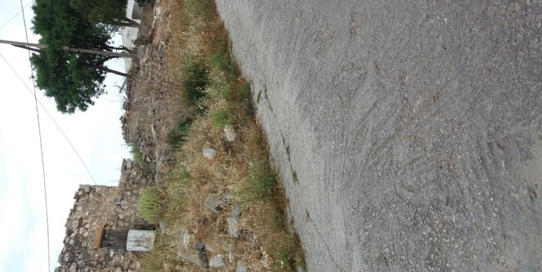 20180503_182539 (Custom)