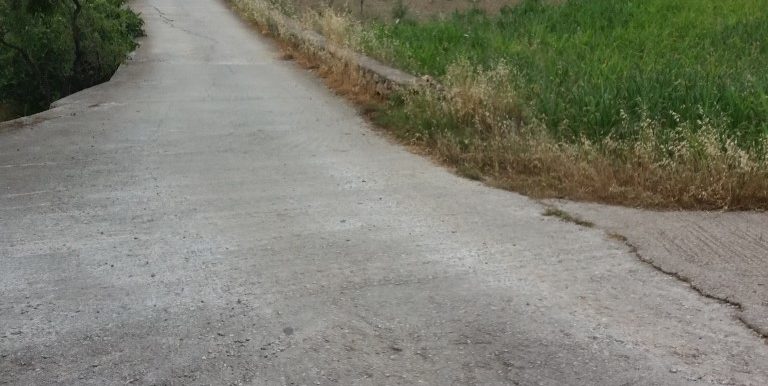 20180503_182548 (Custom)