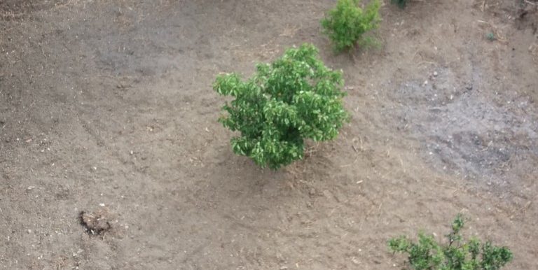 20180518_171807 (Custom)