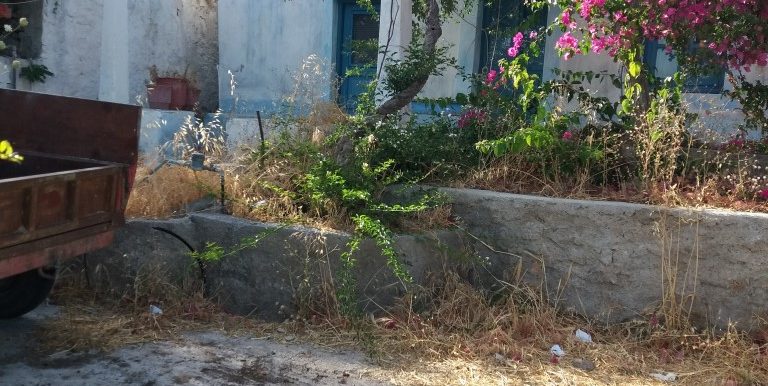 20180609_174250 (Custom)