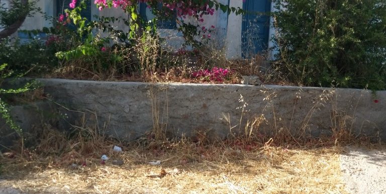 20180609_174255 (Custom)