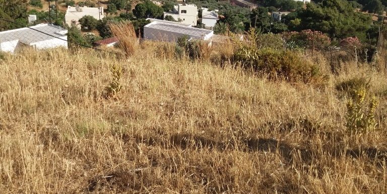 20180609_174553 (Custom)