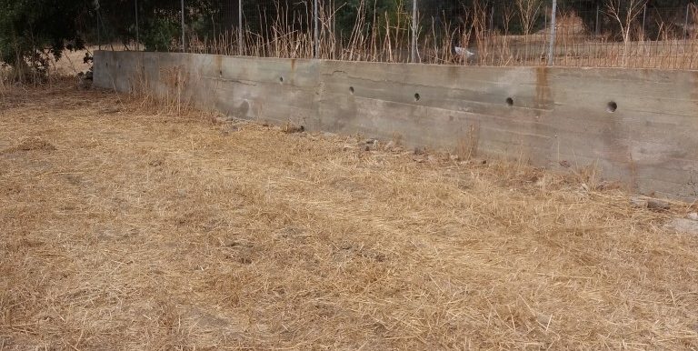 20180611_102416 (Custom)